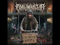 Flesh Hungry Homeless