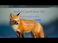 Animal classification system for the web using TensorFlow and Django