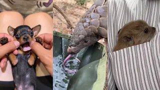 Helping hand #rescue #wildlife #lovestory #animals #love #cute #kindness #wildliferescue #pets