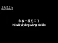 【唱歌學中文】►張雨生 / 以為你都知道◀ ► Tom Zhang / Thought you all knew ◀『你對我有多麼重要 不能相信你已經從我夢裡逃跑』【動態歌詞中文、拼音Lyrics】