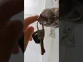 Review PICK TEST Probrico Keyed Alike Entry Knob and Deadbolt Set Nickel 1 Cylinder Combo Pack