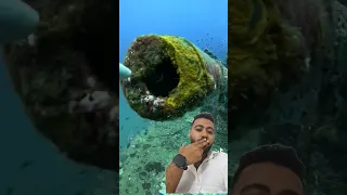 ده غطاس بيرازي السمكه و مش سايبها ف حالها 