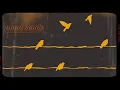 HiraiZerdüş - Umut sende