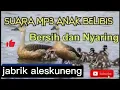 Download Lagu suara pikat anak belibis jos