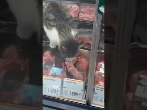 Gıda Dedektifi ortaya çıkarmıştı: Migros mağazasında denetim gerçekleştirildi, etler imha edildi!