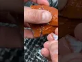Download Lagu 😋😋oranga idaho agate nodule cut and open #viral #youtubeshorts #jade #stone #crystals #jadeite