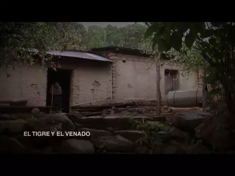 TRAILER EL TIGRE Y EL VENADO