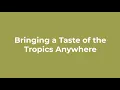 Bringing a Taste of the Tropics Anywhere Tropical Smoothie Cafe Franchise Opportunity
