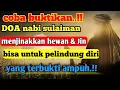 Download Lagu Doa Nabi Sulaiman untuk menjinakkan hewan dan jin#doanabisulaiman