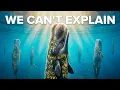 Why Sperm Whales Are The Only Ones That Sleep In The Ocean