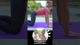 Shorts تمرين كل يوم عضلات الحوض 