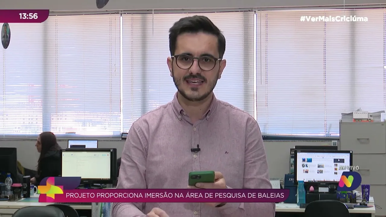 Observação de baleia franca em SC: seja um baleiólogo por um dia!