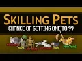 Skilling Pets chance of getting one to lvl 99