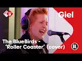 Lagu The BlueBirds - Roller Coaster (Danny Vera cover) | NPO Radio 2
