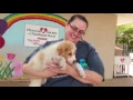 Humane Society of NE Texas in Longview Adoption Fees Waived