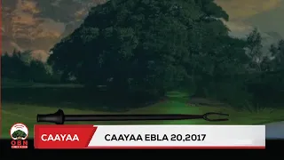 Caayaa OBN Ebla 20 2017 