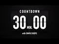 30 Minute Countdown Timer Flip Clock with Simple Beeps