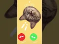Download Lagu Ringtone iPhone 15 pro 📲  #iphone #notification #cat #funny #ringtone