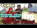 Download Lagu Bakar Telur ular welang !! Ular welang /ular berbisa tinggi!! Rasanya gurih .