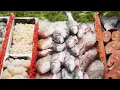 Doris Italian Market Fresh Deli Seafood