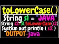 toLowerCase method in string java ICSE X class 10 Semester 2 computer applications