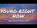 Download Lagu Robin Schulz ft. Dennis Lloyd - Young Right Now (Lyrics)