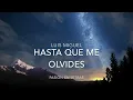 Luis Miguel - Hasta Que Me Olvides Letra