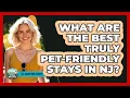 What Are The Best Truly Pet-friendly Stays In NJ - All About New Jersey