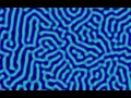 Reaction diffusion