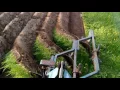 Ford 5030 plowing pasture with 101 3 bottom plow