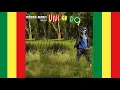 La Luz Y La Ilusion - Dread Mar I