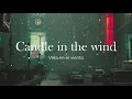 Saint Motel - For Elise (Lyrics Español/Inglés)