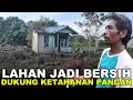 Lagu PETANI RANTAU MANFAATKAN LAHAN KOSONG JADI PRODUKTIF! CERITA DARI PERMUKIMAN TRANSMIGRASI KALIMANTAN