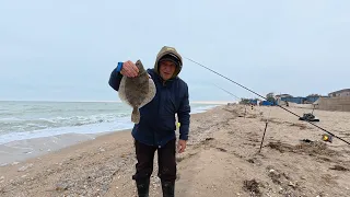 November Trip To The Sea Berdyansk Sea Of Azov November 4 2025 