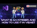What is an integer and how to use it in VB Net