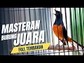 Lagu MURAI BATU GACOR FULL ISIAN TEMBAKAN MEWAH AMPUH MELATIH MURAI BATU BONGKAR ISIAN