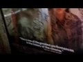 Inside the Last Resort Bikers Bar--A Shrine to Aileen Wuornos