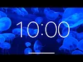 Download Lagu 10 Minute Timer - Relaxing Music