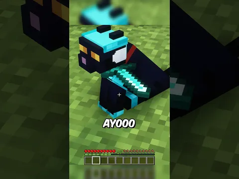 anzeige | ER hat eine KATZEN ARENA in MINECRAFT?!… #minecraft #toobad #diesereinefreund