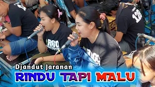 Download RINDU TAPI MALU - DJANDUT JARANAN AUDIO GLERR ROGO SAMBOYO PUTRO GEA AYU \u0026 DINDA MP3