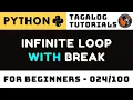 Python Infinite Loop with Break Explained Why It Happens and How It Stops
