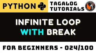 Python Infinite Loop with Break Explained Why It Happens and How It Stops