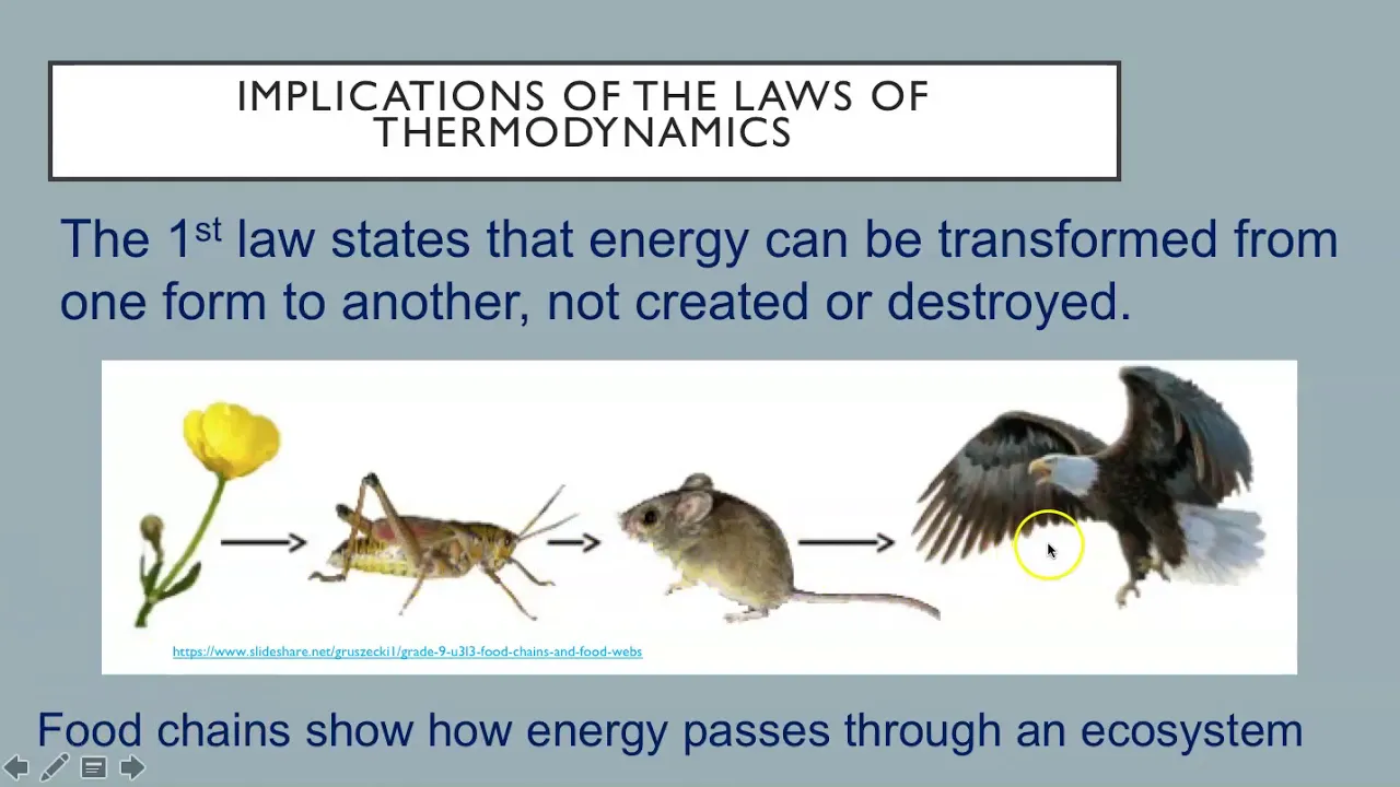 IB ESS Topic 1 3