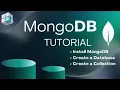 33 - Setting Up MongoDB Locally Understand Database Collections Documents Fields