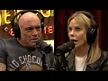 Joe on the Epstein Files and the Guest Who Tried to Introduce Him to Epstein