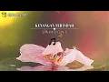 Download Lagu story wa -  samsons Kenangan terindah