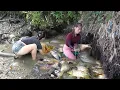 Lagu Full Video: Fishing Techniques Harvesting A Lot Of Fish At Mud Pond And Goes to market sell