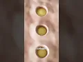 Download Lagu How A Derma Roller Works 🤔