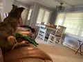 Like and subscribe