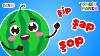 Karpuz Adam Şip Şap Şop · Sar Makarayı · Eğitici Çocuk Şarkıları · Köpek Uçmak İstemiş · Kids Song